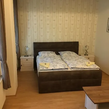 게스트하우스 Bynovecky Zamecek 4*