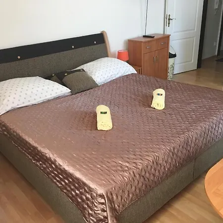 게스트하우스 Bynovecky Zamecek 4*
